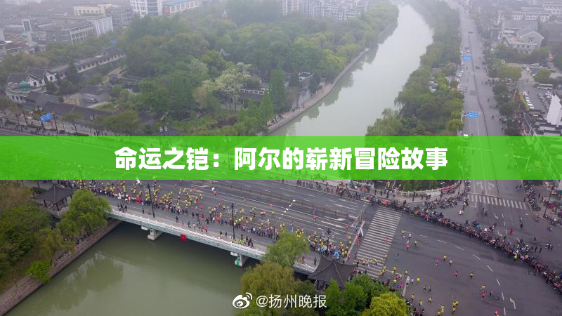 命运之铠：阿尔的崭新冒险故事