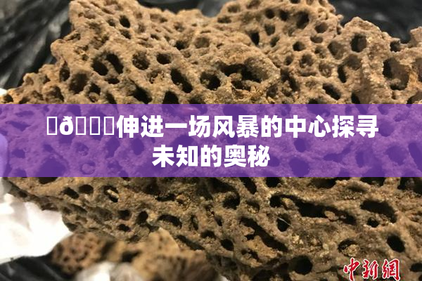 ‌🍌伸进一场风暴的中心探寻未知的奥秘