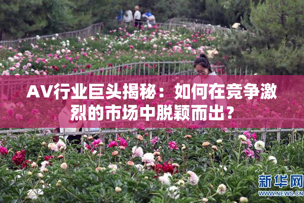 AV行业巨头揭秘：如何在竞争激烈的市场中脱颖而出？