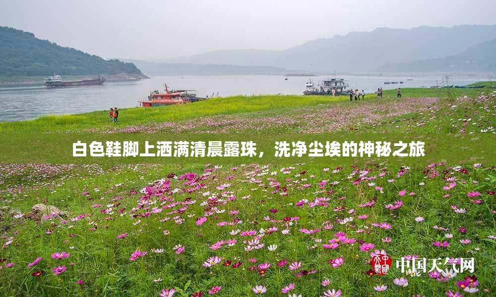 白色鞋脚上洒满清晨露珠，洗净尘埃的神秘之旅