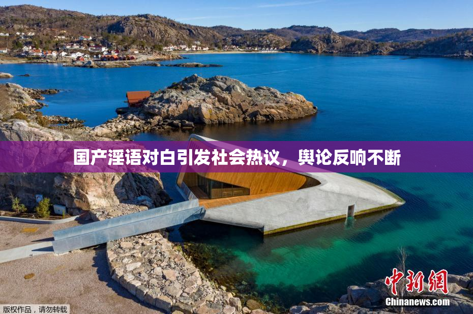 国产淫语对白引发社会热议，舆论反响不断