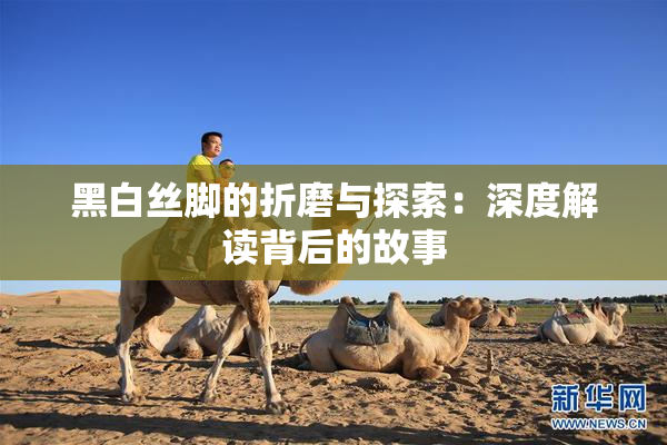 黑白丝脚的折磨与探索：深度解读背后的故事