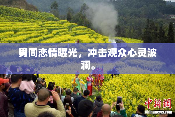男同恋情曝光，冲击观众心灵波澜。
