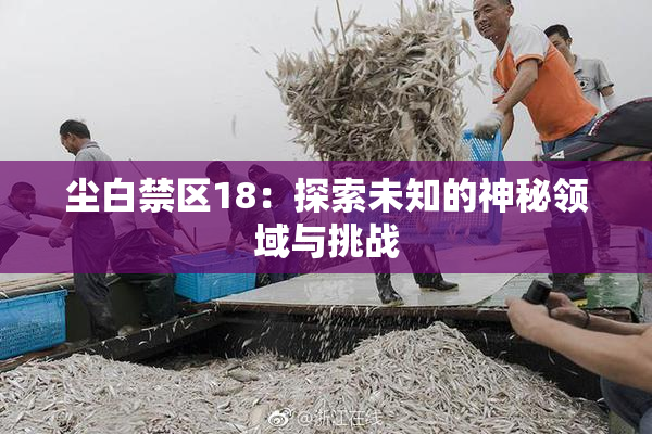 尘白禁区18：探索未知的神秘领域与挑战