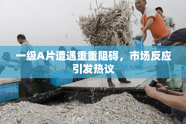 一级A片遭遇重重阻碍，市场反应引发热议