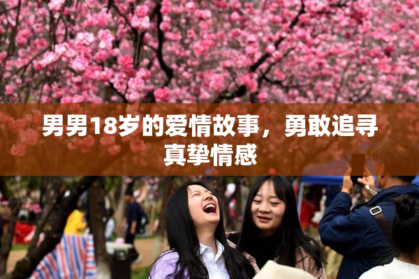 男男18岁的爱情故事，勇敢追寻真挚情感