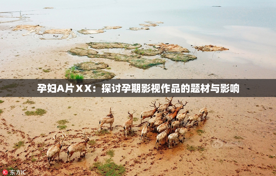 孕妇A片ⅩX：探讨孕期影视作品的题材与影响