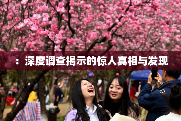 ：深度调查揭示的惊人真相与发现