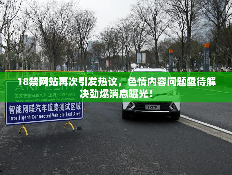 18禁网站再次引发热议，色情内容问题亟待解决劲爆消息曝光！
