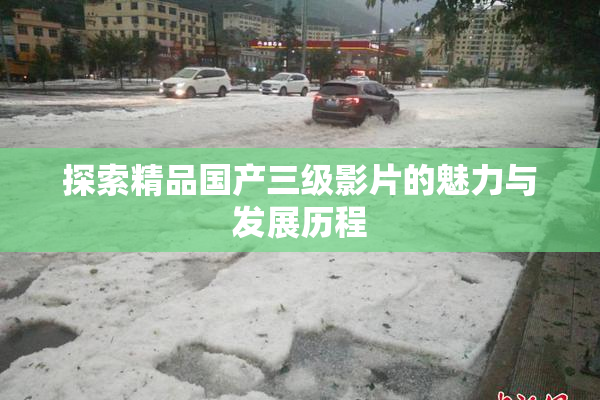 探索精品国产三级影片的魅力与发展历程