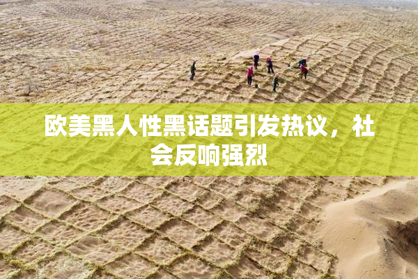 欧美黑人性黑话题引发热议，社会反响强烈