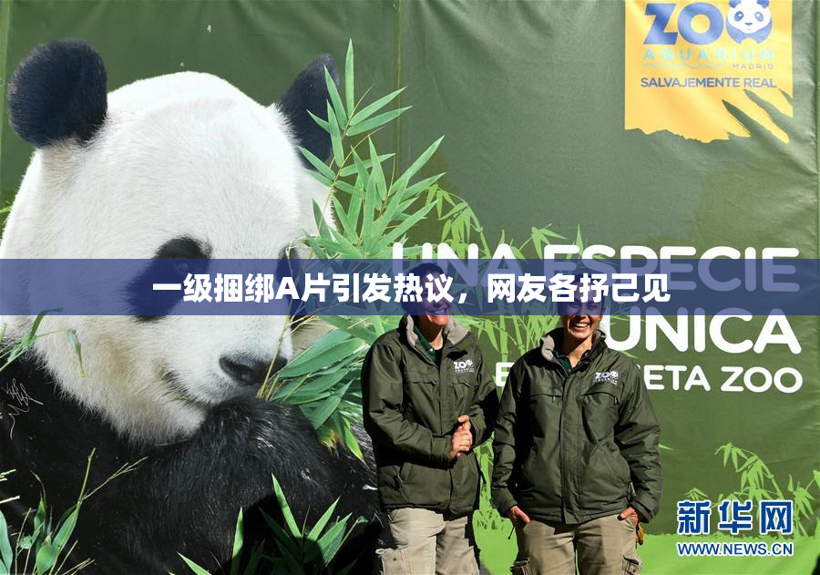一级捆绑A片引发热议，网友各抒己见