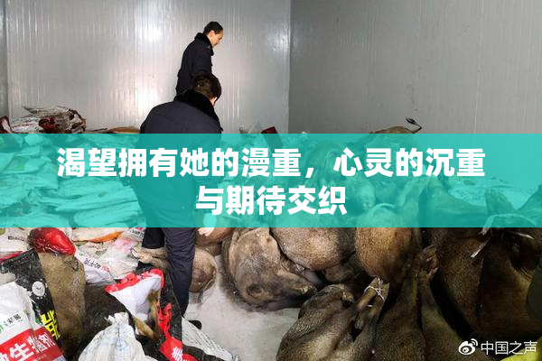 渴望拥有她的漫重，心灵的沉重与期待交织