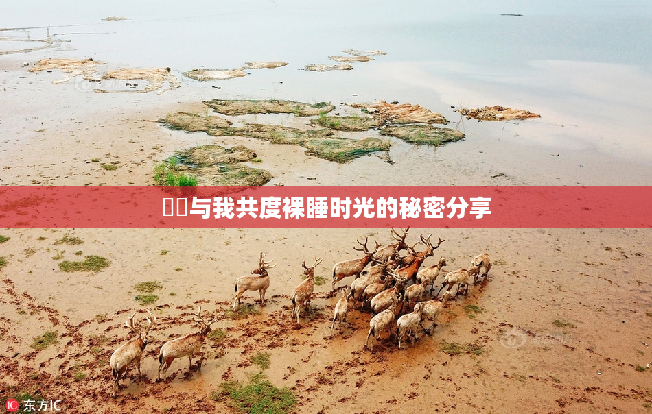 妺妺与我共度裸睡时光的秘密分享