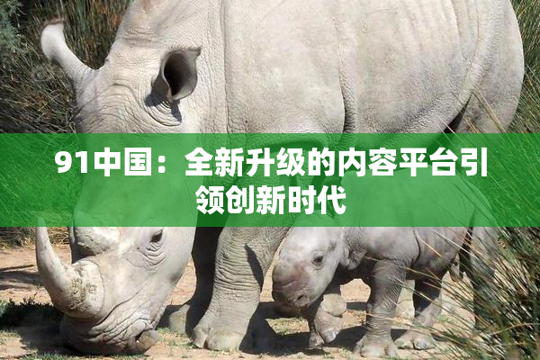 91中国：全新升级的内容平台引领创新时代
