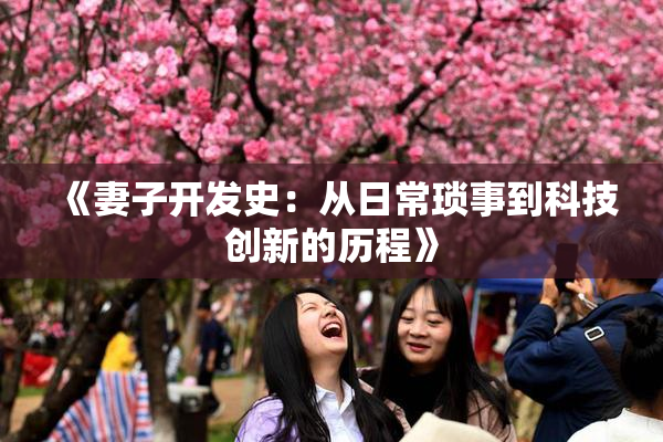 《妻子开发史：从日常琐事到科技创新的历程》
