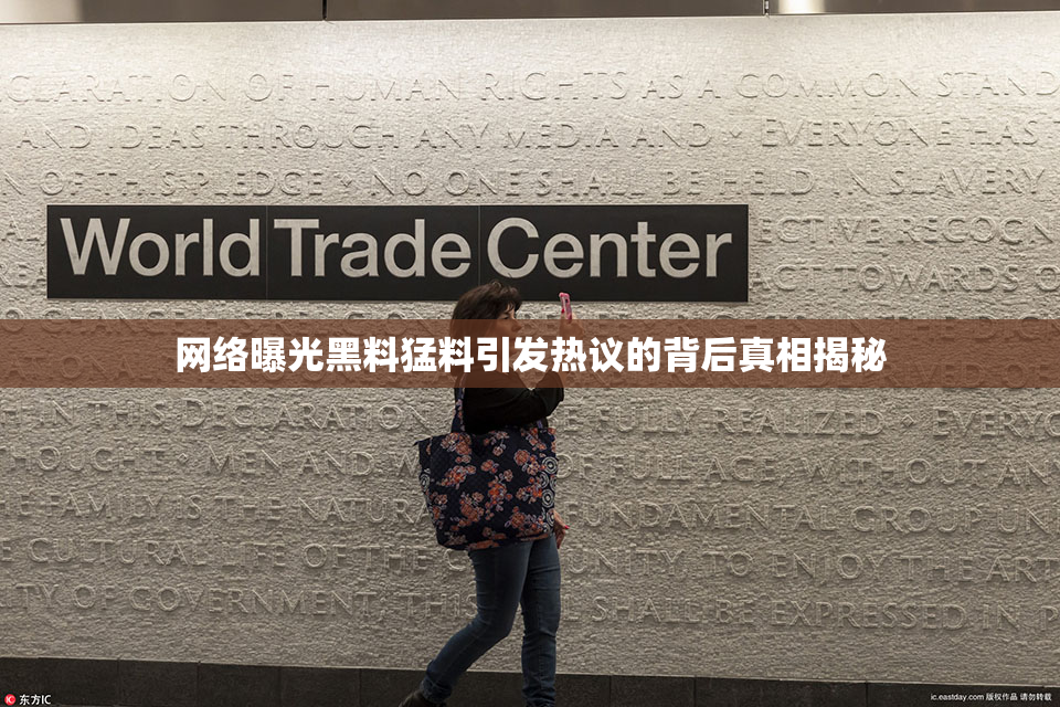 网络曝光黑料猛料引发热议的背后真相揭秘