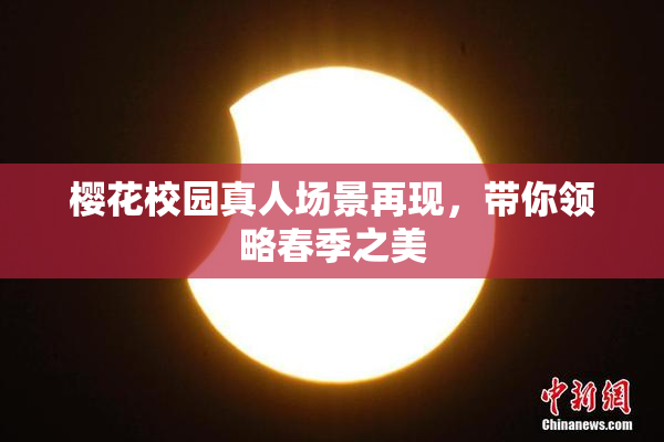 樱花校园真人场景再现，带你领略春季之美
