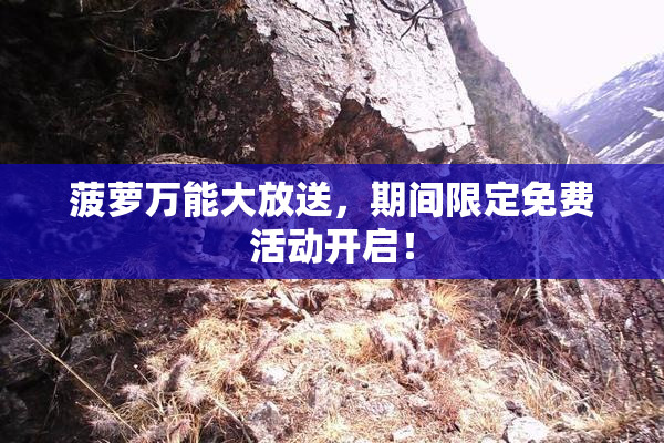 菠萝万能大放送，期间限定免费活动开启！