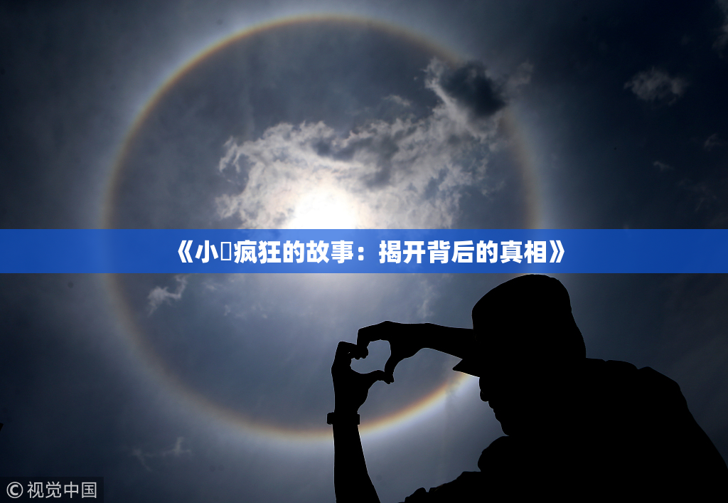 《小泬疯狂的故事：揭开背后的真相》