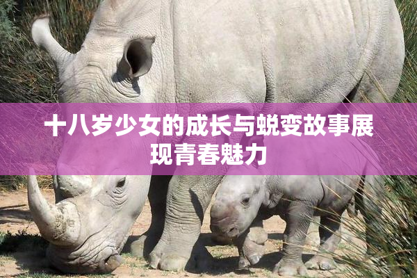 十八岁少女的成长与蜕变故事展现青春魅力