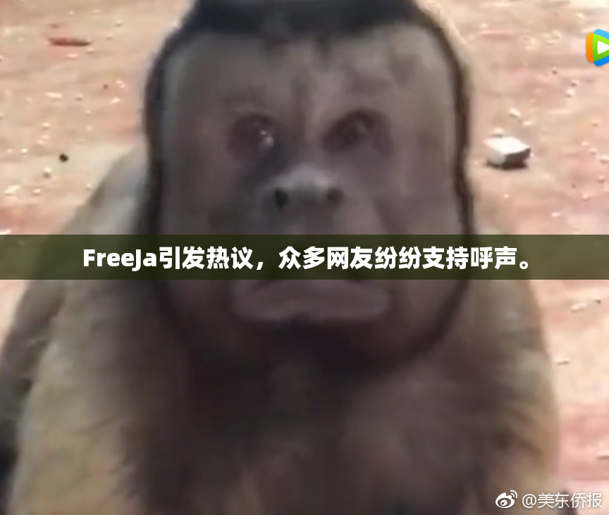 FreeJa引发热议，众多网友纷纷支持呼声。
