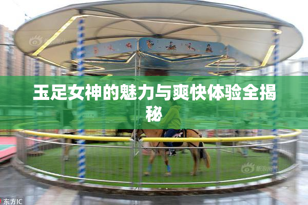玉足女神的魅力与爽快体验全揭秘