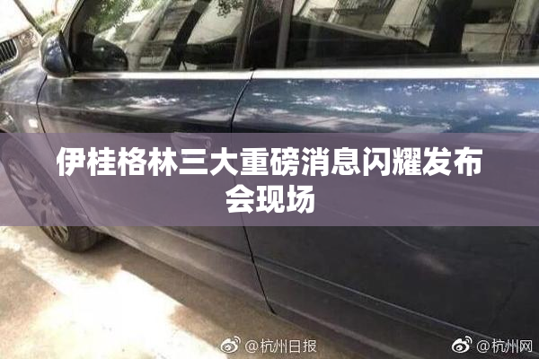 伊桂格林三大重磅消息闪耀发布会现场