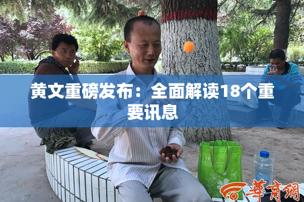 黄文重磅发布：全面解读18个重要讯息