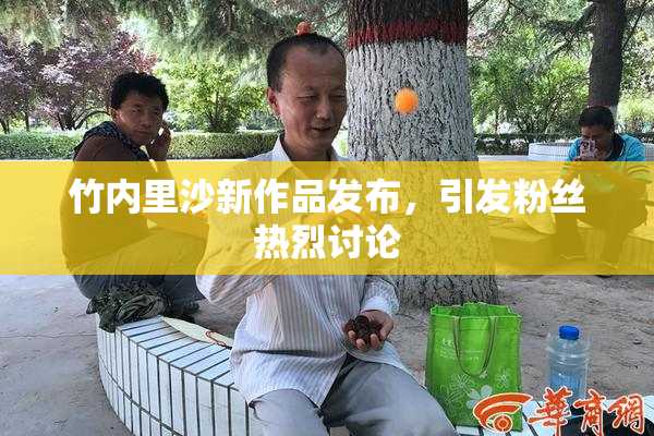 竹内里沙新作品发布，引发粉丝热烈讨论