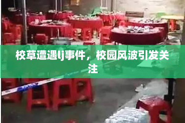 校草遭遇lj事件，校园风波引发关注