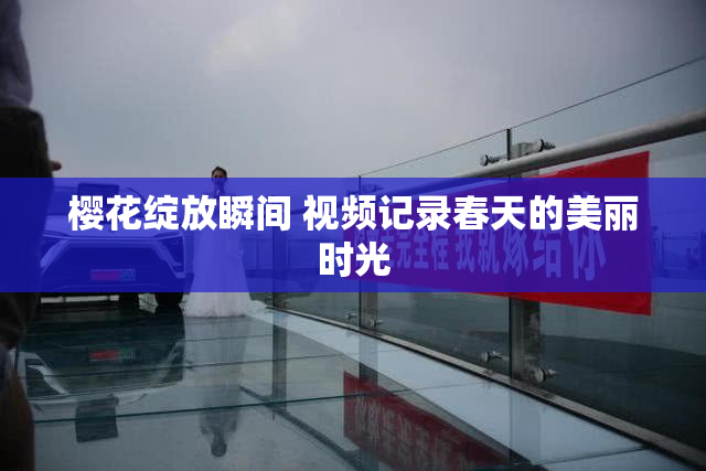 樱花绽放瞬间 视频记录春天的美丽时光