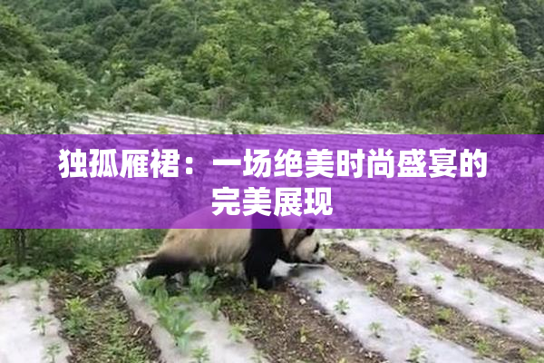 独孤雁裙：一场绝美时尚盛宴的完美展现
