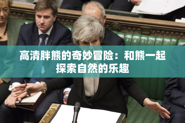 高清胖熊的奇妙冒险：和熊一起探索自然的乐趣