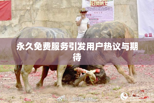 永久免费服务引发用户热议与期待