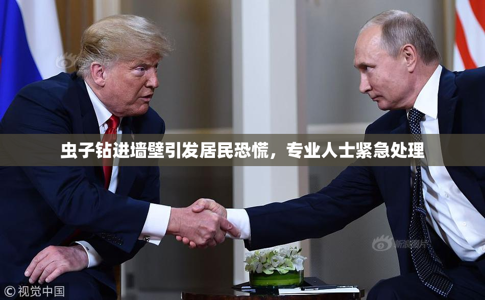 虫子钻进墙壁引发居民恐慌，专业人士紧急处理
