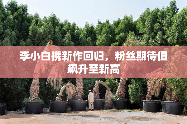 李小白携新作回归，粉丝期待值飙升至新高
