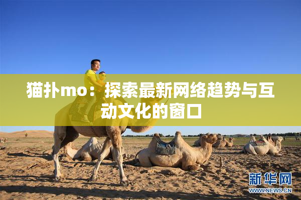 猫扑mo：探索最新网络趋势与互动文化的窗口