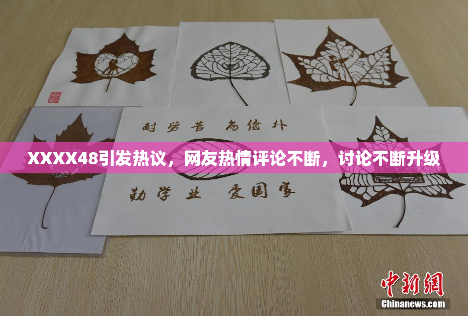 XXXX48引发热议，网友热情评论不断，讨论不断升级