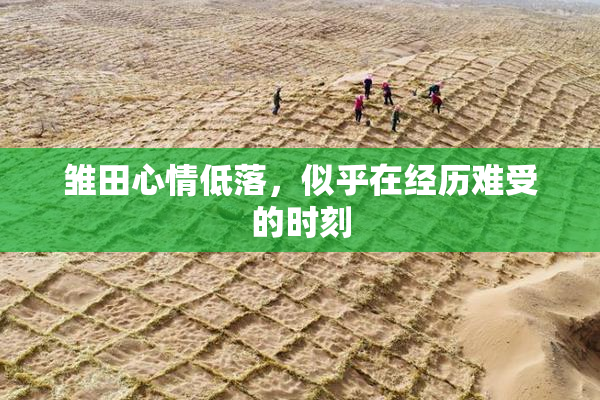 雏田心情低落，似乎在经历难受的时刻