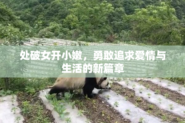 处破女开小嫩，勇敢追求爱情与生活的新篇章