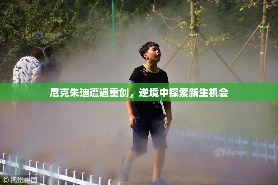 尼克朱迪遭遇重创，逆境中探索新生机会