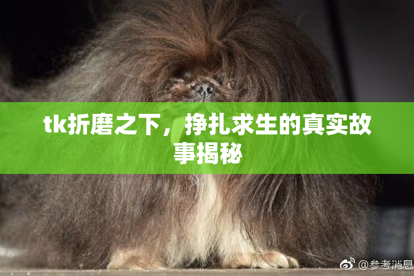 tk折磨之下，挣扎求生的真实故事揭秘