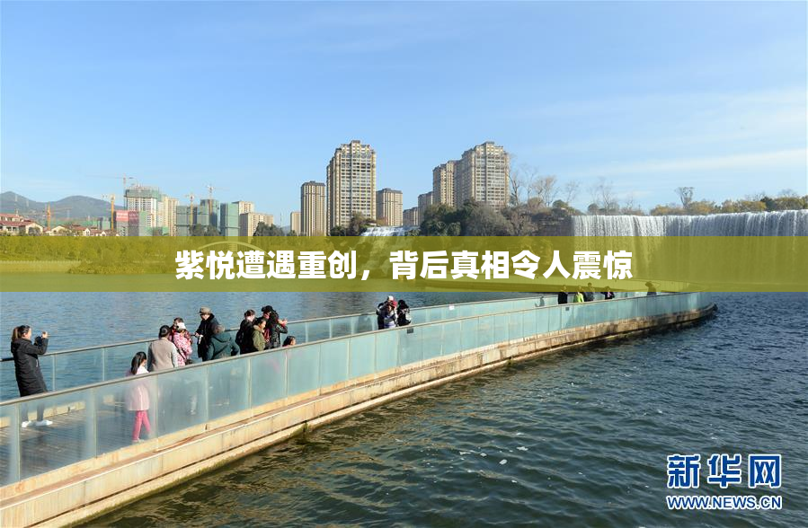 紫悦遭遇重创，背后真相令人震惊