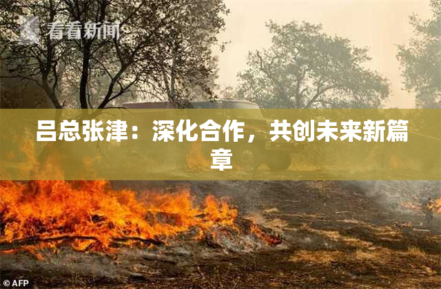 吕总张津：深化合作，共创未来新篇章