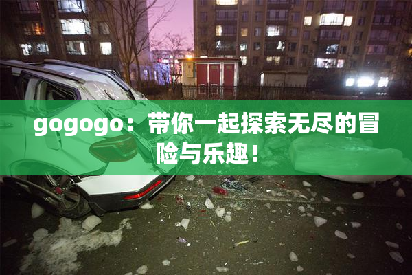 gogogo：带你一起探索无尽的冒险与乐趣！