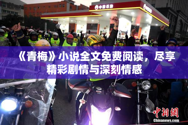 《青梅》小说全文免费阅读，尽享精彩剧情与深刻情感