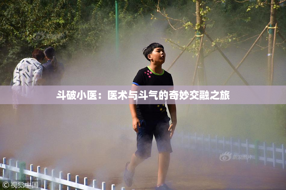 斗破小医：医术与斗气的奇妙交融之旅