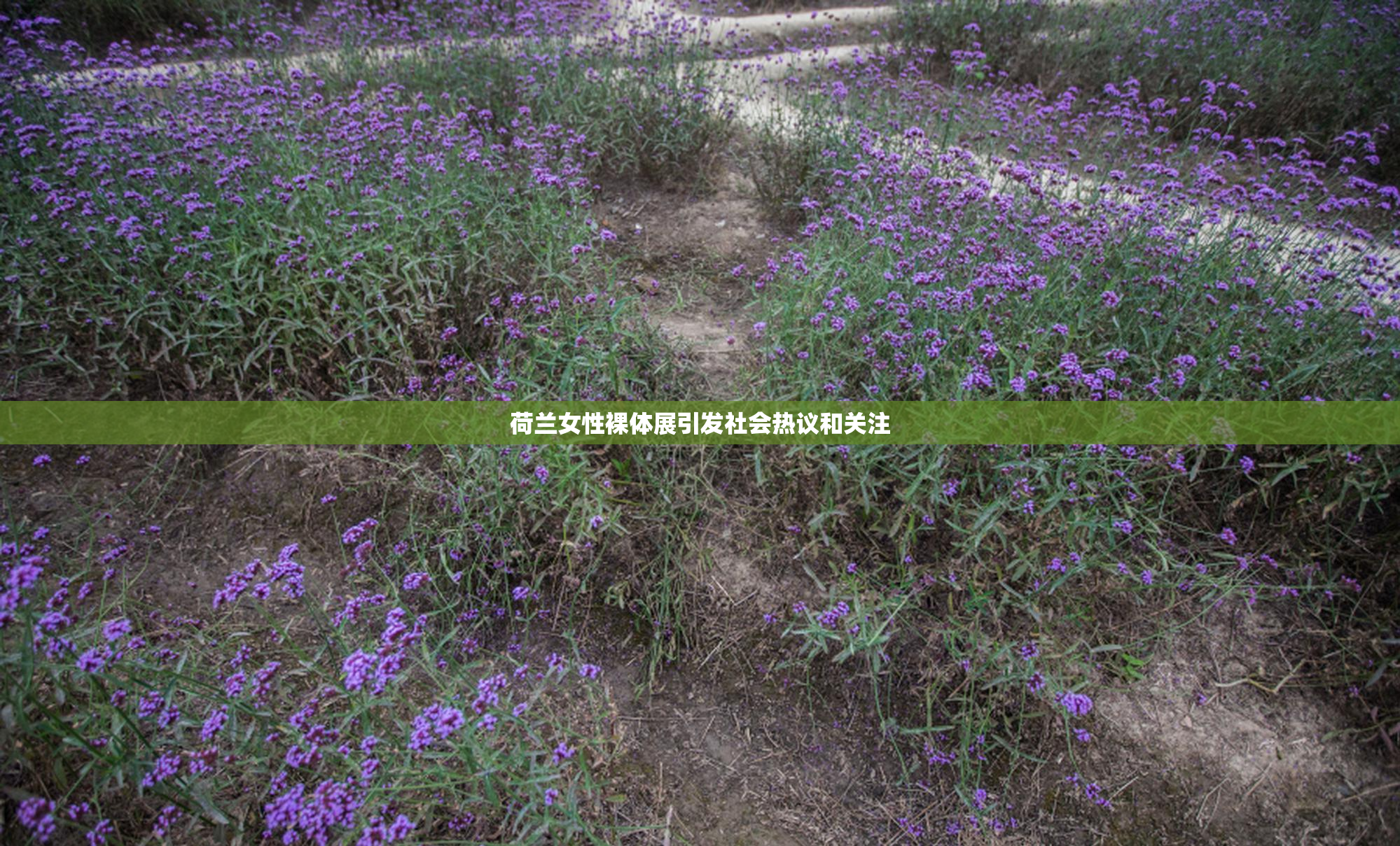 荷兰女性裸体展引发社会热议和关注