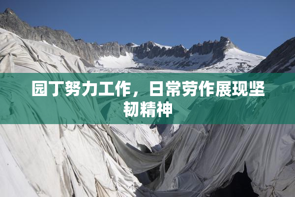 园丁努力工作，日常劳作展现坚韧精神
